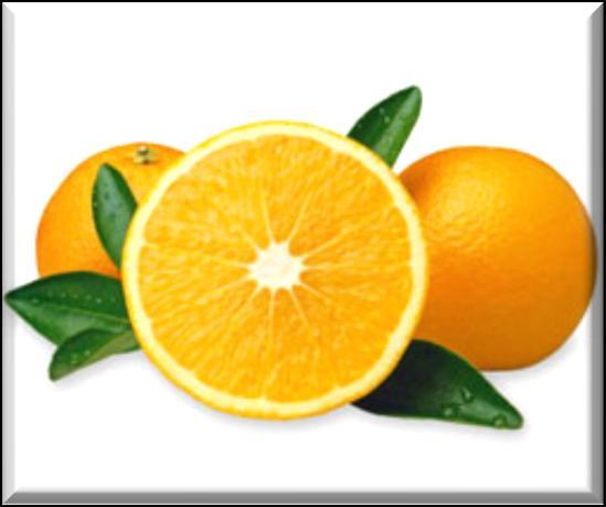 Clementine Wonderful citrus arrangement including top notes of tangerine, orange, grapefruit,