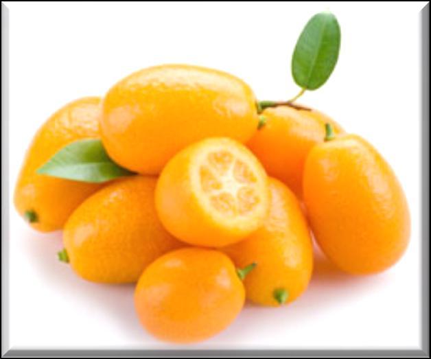 Kumquat A sweet and sour blend of