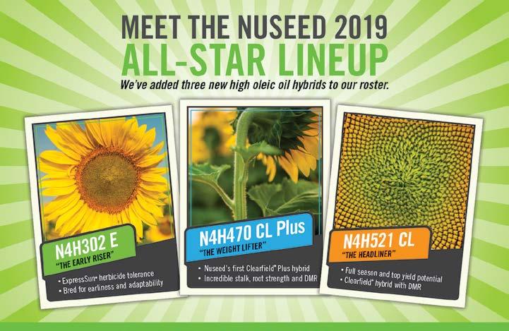 HIGH OLEIC Nuseed is proud to introduce our newest players the adaptable N4H302 E, the strong N4H470 CL Plus and the high-yielding N4H521 CL.