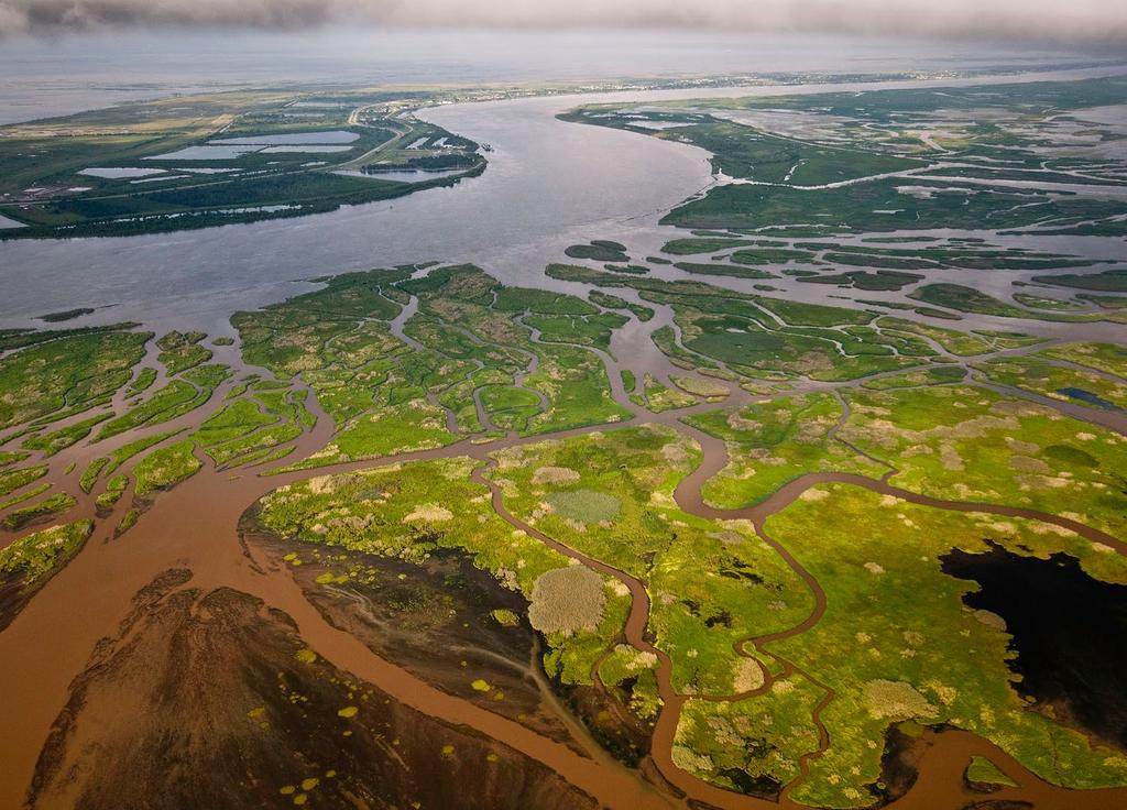 Mississippi River delta and channel, south of New Orleans Bridget Besaw PRE-TRIP ITINERARY Louisiana A SPECIAL NATURE CONSERVANCY DEPARTURE APRIL 14-19, 2019 Estimated Price: $3,940 per person based