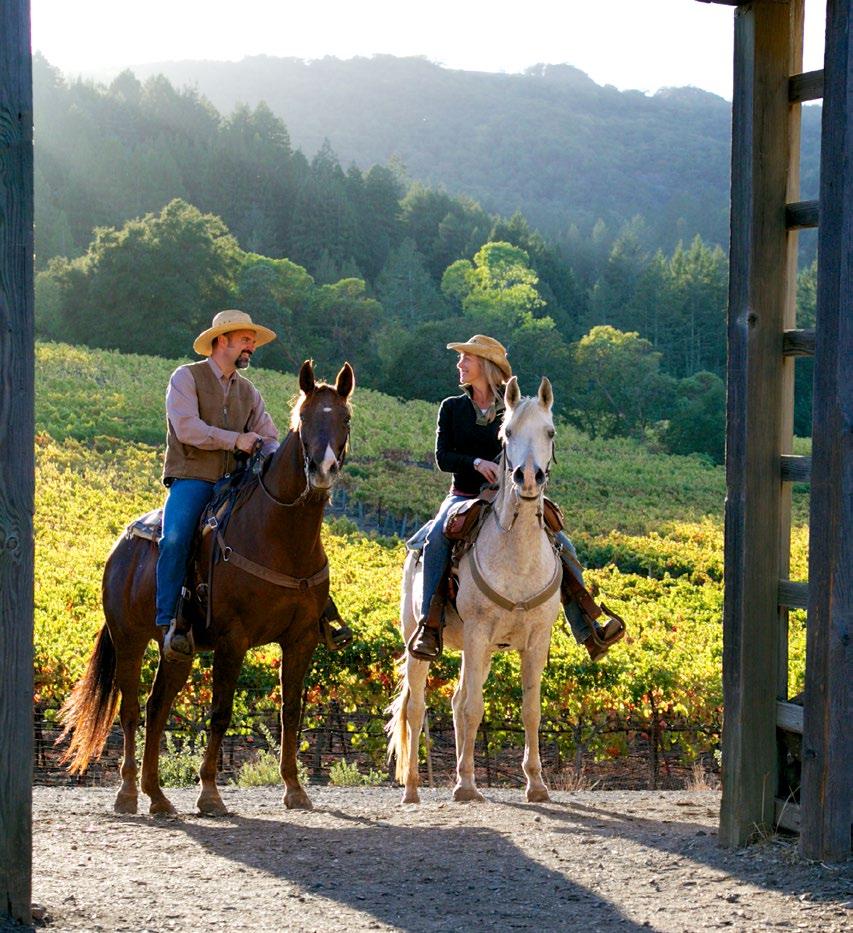 HORSE BACK RIDING Take a scenic ride through vineyards, forests and over mountains on purebred Arabian horses with expert guide Pieter Hugo a South African Team Endurance Rider.