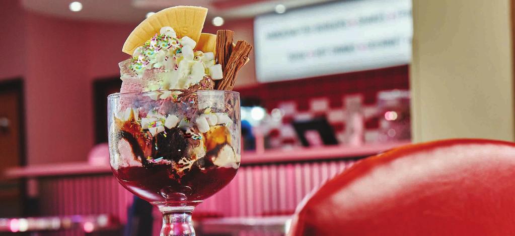 49 A HUGE bowl filled with chocolate fudge cake chunks, vanilla, strawberry & chocolate ice cream, whipped cream, mini marshmallows, chocolate & raspberry sauces, a fan wafer, chocolate