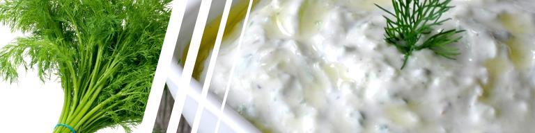 Cultured Dairy Dill Dip Try a fresh herbaceous dips chock full of healthy ingredients like garlic, onion, and lemon juice.