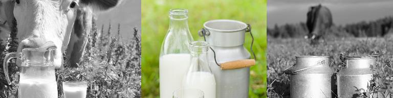 Making Yogurt with Raw Milk Raw milk yogurt is delicious and full of beneficial bacteria from both the raw milk and the yogurt culture.