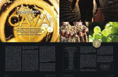 16. cava promotion 2017 special articles decanter: In collaboration