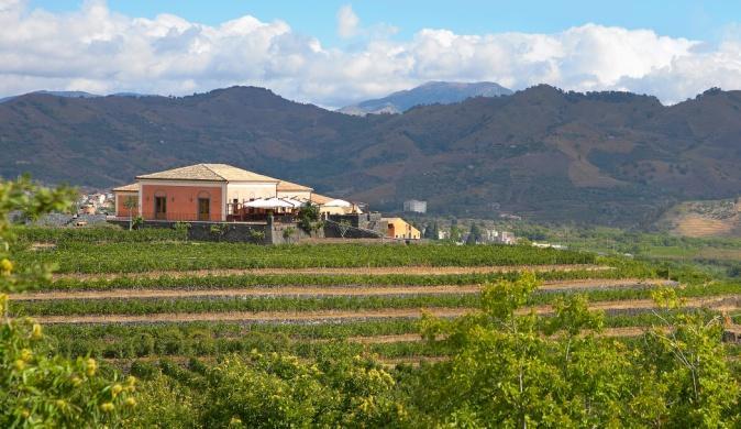 26.09.2017 TOURS AND TASTING The wine estate is situated 550 metres above sea level on a hilltop overlooking the Mediterranean sea.