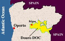 of wine. Duties were lowered on imports from Portugal and popularity of Port wine in Britain soared even more.