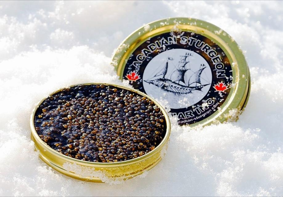 Wild Sturgeon Caviar, The black gold of New Brunswick Just like in the time of rule of Piree Le Grande where special gifts were given to the royal Russian court in the time of the last Romanov,