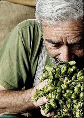 Applications of Czech Hops in the