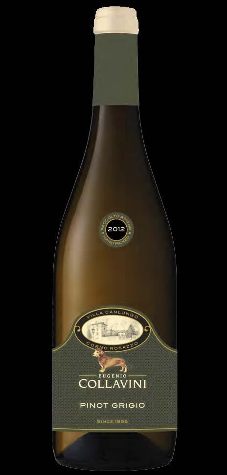 THE WINES Pinot Grigio, Canlungo DOC Collio Tasting Notes: Intense straw yellow with interesting copper highlights.