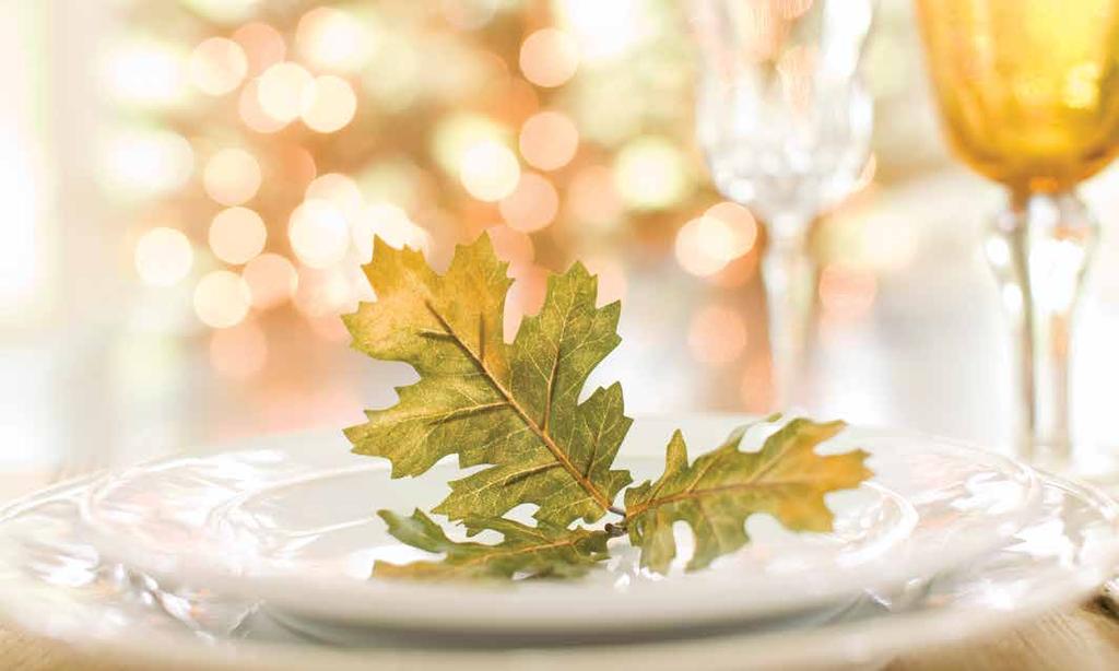Bountiful Thanksgiving Feast Thursday, November 22 // 10:30 am 1 pm Join us for our traditional holiday buffet.