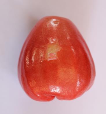 Annex C (informative) Fresh wax apple defects C.