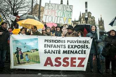 Pesticides: a major concern Bordeaux TownMoves to RestrictVineyardPesticide Sprayingto ProtectSites Where Local Children Live and Play Vineyard owners in the Gironde district of Bordeaux face new