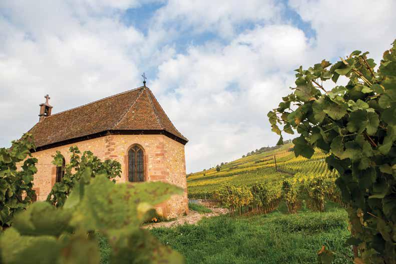 FRANCE CAVE DE BEBLENHEIM Created in 1952, Cave de Beblenheim is situated amidst 620 hectares of vines in the heart of Alsace, only a few miles from Riquewihr and Zellenberg.