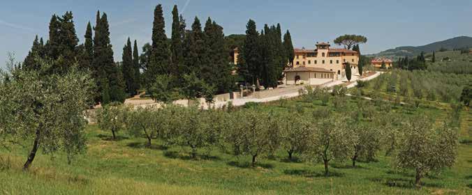 ITALY SENSI Tuscany s climate is generally Mediterranean, with the further eastern regions having continental influences from the Apennine mountain range.