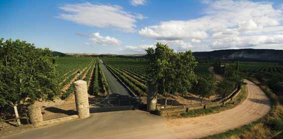SPAIN BARÓN DE LEY SPAIN Barón de Ley was founded in 1985 by a small group of Rioja wine professionals who wanted to develop a purely vineyard driven winery, oriented to the production of high