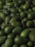 09-11-2016 09-17-2016 AVOCADOS California harvest is declining rapidly, many shippers report that they will be done with any