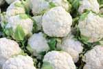 CAULIFLOWER The cauliflower market remains steady at current price levels. Supplies are also steady but with any type of demand the market will take off.