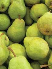 APPLES & PEARS Washington - Red delicious are steady- higher on all sizes and grades with only light availability of the Wash Extra-fancy #2 and Wash fancy grades.