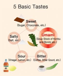 Quality checks: Taste Umami taste Umami is the taste