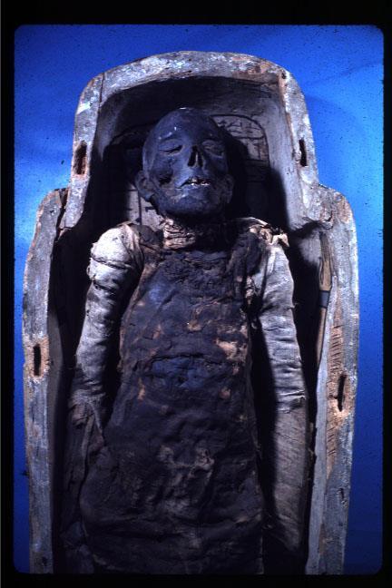 Mummies Egyptians who could afford to do so would have themselves
