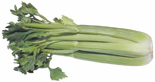 Dole Celery ~1 49 Broccoli