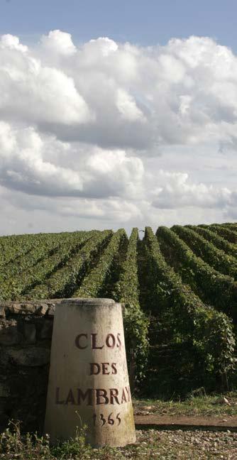 DOMAINE DES LAMBRAYS MOREY ST DENIS Clos des Lambrays Grand Cru is the jewel in the crown of Domaine des Lambrays in Morey St Denis.