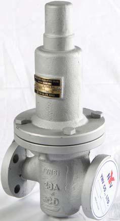 Steam Trap Safety Relief Pressure & Primary Strainer Others Primary Reducing Valve