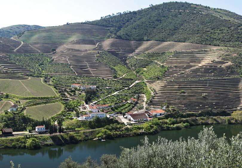 SUPER LOT #16 PORTO Enjoy the very best that Oporto, Vila Nova de Gaia and the Douro have to offer This Super Lot of remarkable hospitality, rarely available to any visitors, is for four couples (8