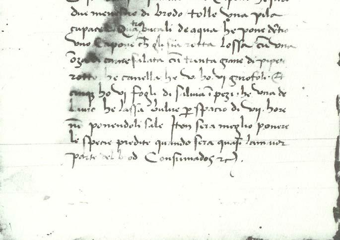 October 15, 2005 Folio IV of MS Bühler, 19