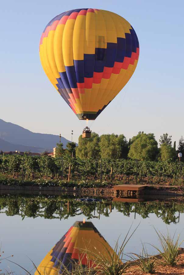 Here are a few ideas: Wine Tasting Wine Pairing Dinners Hot Air Balloon Rides Painting in the