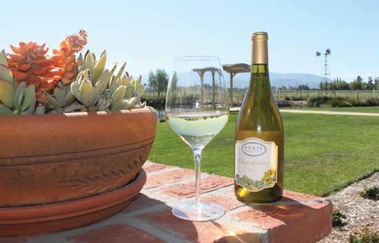 Ponte Winery is proud to be named a Certified California Sustainable Winegrower, the first in Temecula Valley. Ponte Vineyard Inn was designed and built with sustainability in mind.