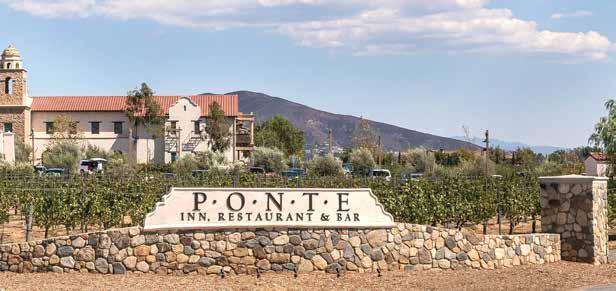 The Inn sits on a lush 300-acre vineyard property that has been farmed by the Ponte family since 1985.