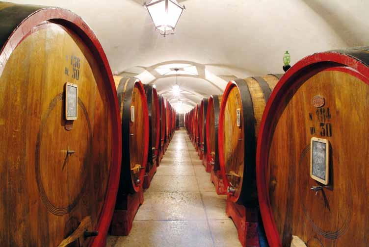 Ageing It is during this stage that Bertani time comes into its own and becomes the protagonist.
