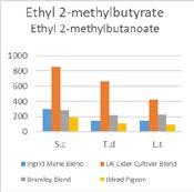 Aceto acetyl-coa Butyryl-CoA Active amyl