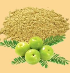 Dehydrated Amla Powder We are offering premium quality of