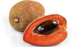 Frozen Sapote (Category :  Page