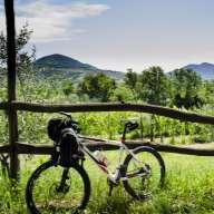 THE EUGANEAN HILLS RING: A PANORAMIC BIKE TOUR This is one of the most complete tour which permits to discover the Euganean Hills by bike.