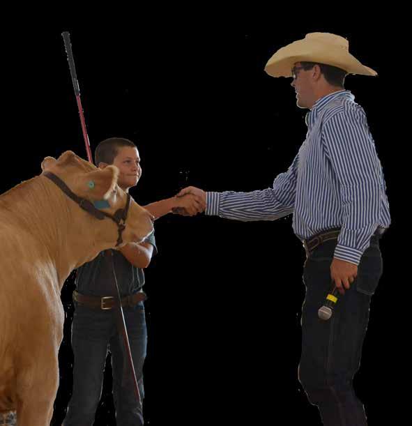 Cattlemen s Classic - February 21, 2019 Online Steer and Heifer Sale