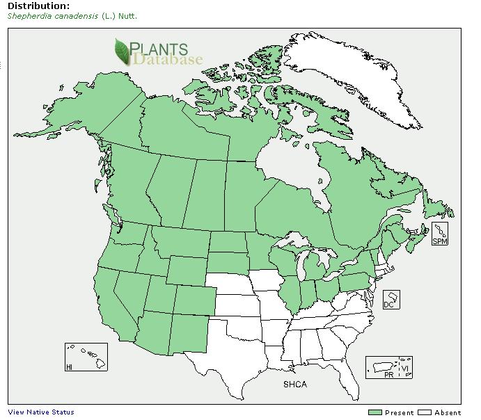 Distribution SHCA Shepherdia canadensis (L.) Nutt.