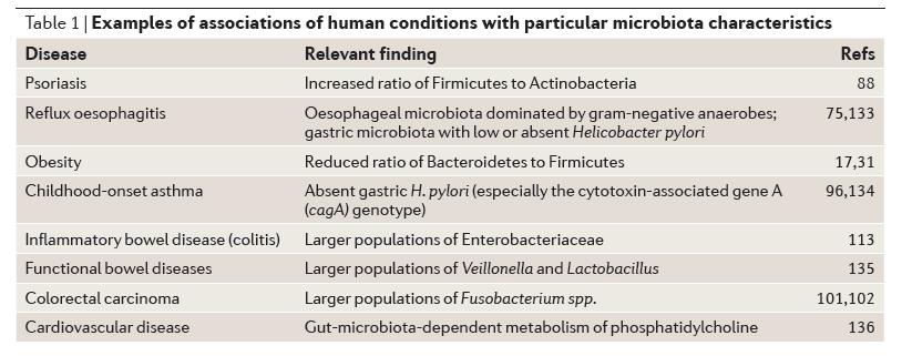The Human Microbiome at Interface of