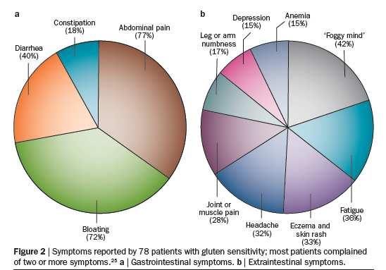 Symptoms of Gluten Sensitivity Volta, U. & De Giorgio, R. Nat. Rev. Gastroenterol. Hepatol. 9, 295 299 (2012 Dx of Celiac Disease-need 4 of 5 1. Typical symptoms of CD 2.