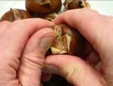 ..pour the roasted chestnuts onto a plate.