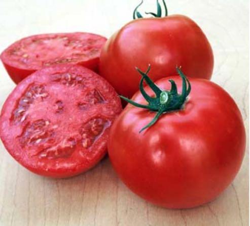 6TH ANNUAL TOMATO PLANT SALE & EDUCATION DAY SATURDAY, APRIL 14 TH - 9AM TIL SOLD OUT LIST OF 2018 TOMATO VARIETIES Red Tomato Varieties Plant & Fruit Descriptions /