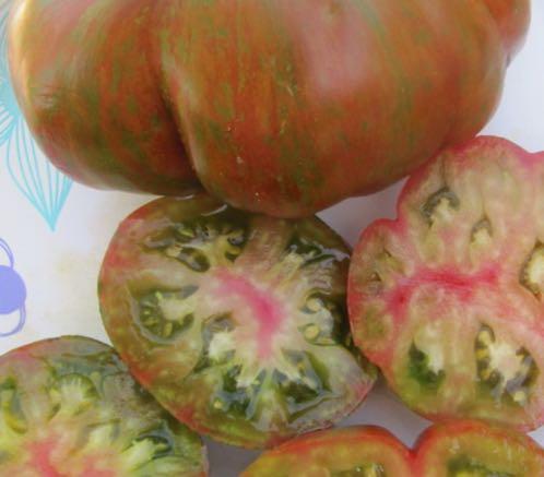 Large harvests on vigorous vines. 85 Days - Late Season SUMMER LOVE Beefsteak - This improved Berkeley Tie-Dye produces a larger yield and ripens earlier.