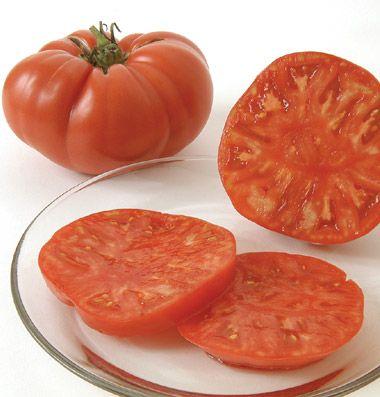 Beautiful bright yellow tomato has red stripes that appear as blossom-end red marbling develops.