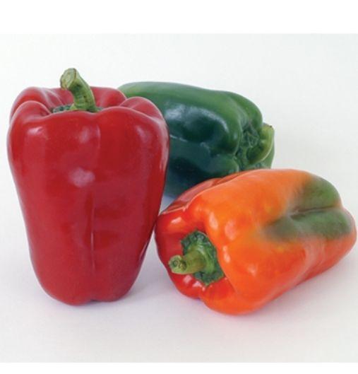 Widely adapted but performs particularly well in cool climates where bell peppers are difficult to grow successfully. Best for early crops. 70 days red ripe.