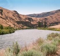 YAKIMA RIVER CANYON HOP COUNTRY COWICHE CANYON RATTLESNAKE HILLS WHITE PASS PROSSER With nearly 0 miles of trail stretching across two hilltops and a scenic canyon, getting
