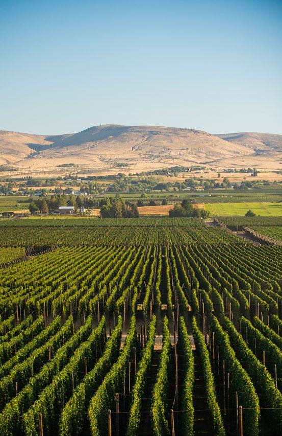 SEE MORE YAKIMA VALLEY TRIP IDEAS OR