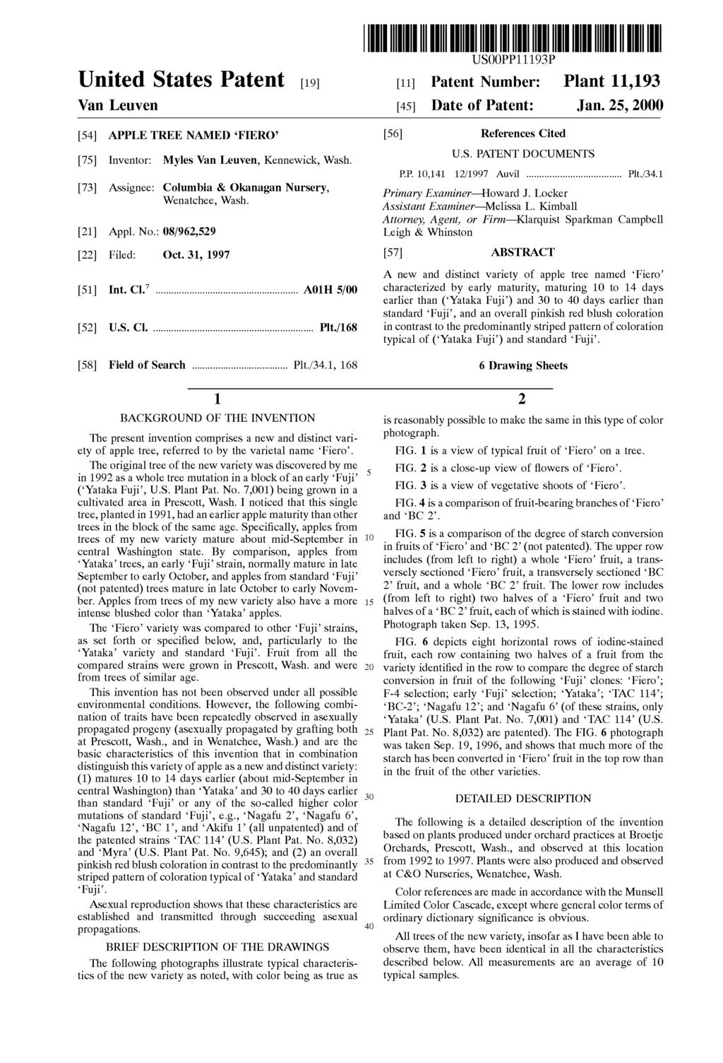 USOOPP11193P Ulllted States Patent [19] [11] Patent Number: Plant 11,193 Van Leuven [45] Date of Patent: Jan.